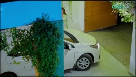 Ishq Tum Se Hua - Episode 48